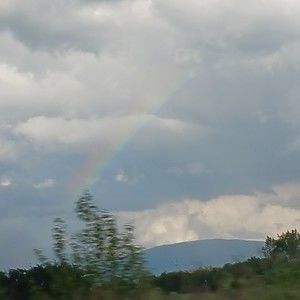 Meet your Posher, Avena